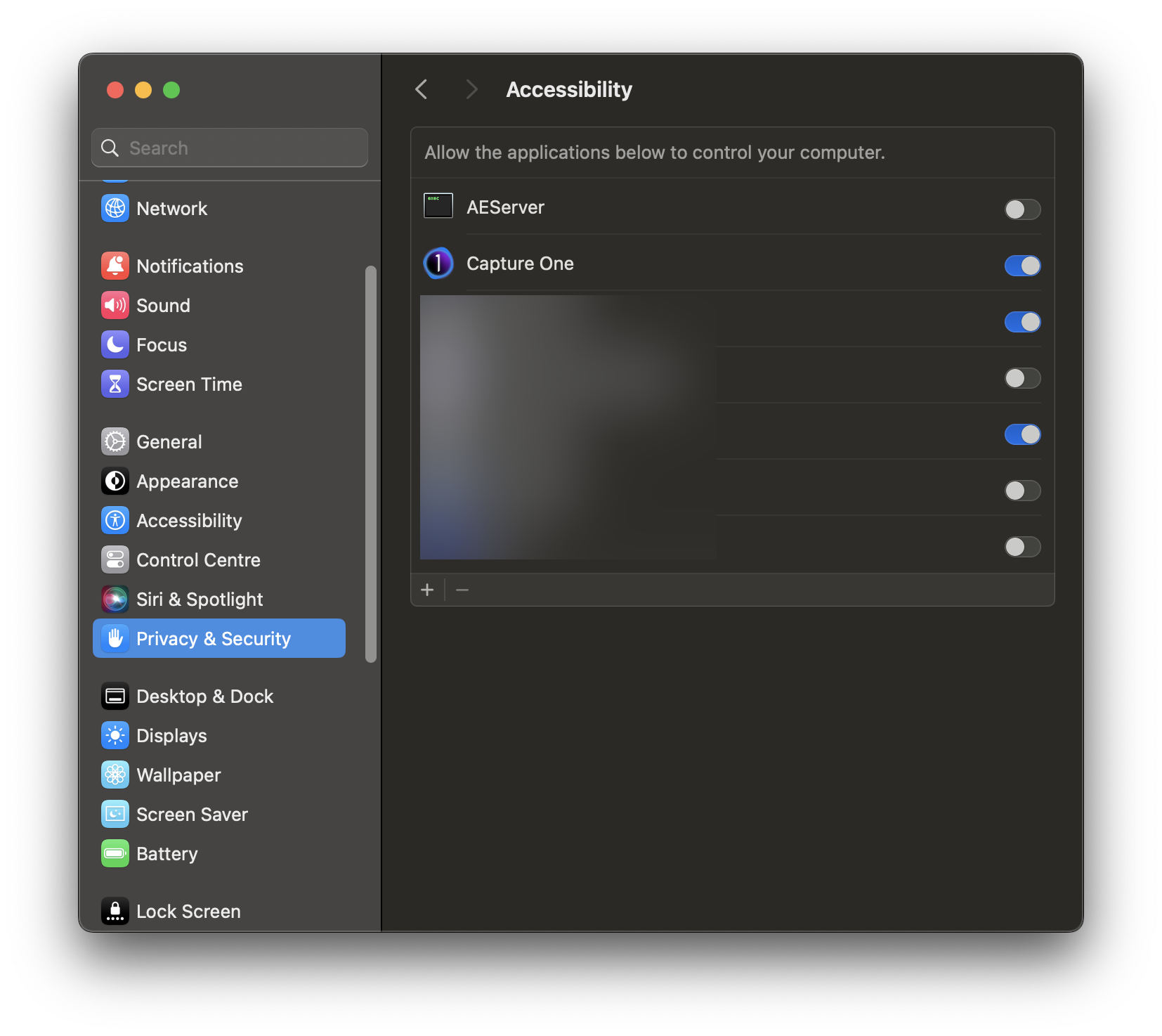 Accessibility permissions addition