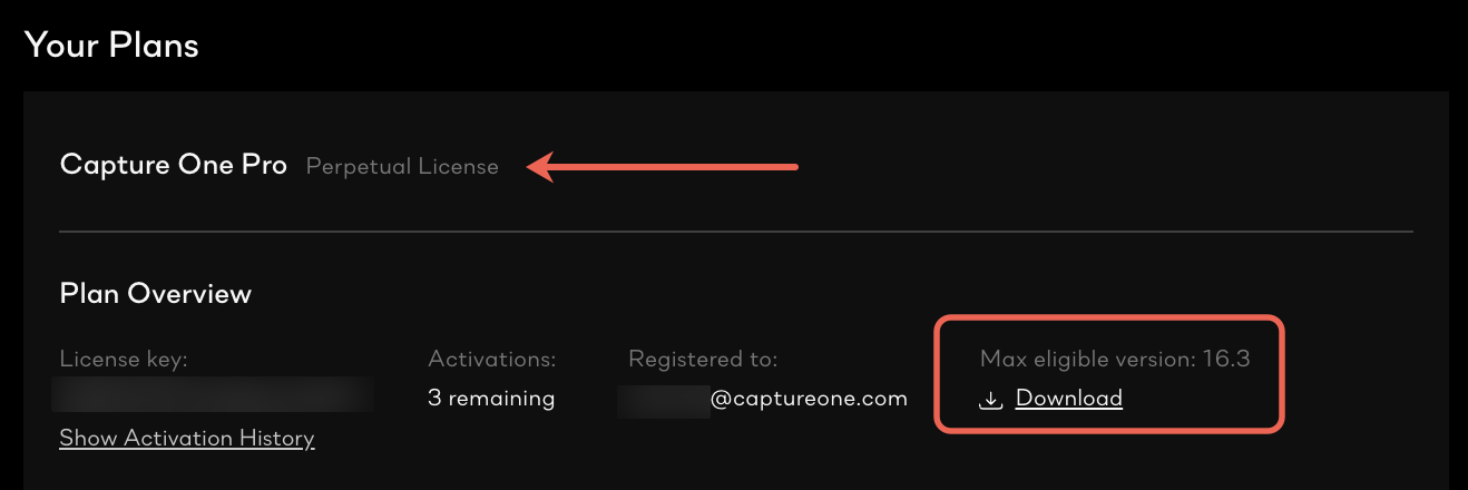 License info example