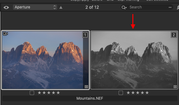 Screenshot_2020-07-13_at_4.41.30_PM.png