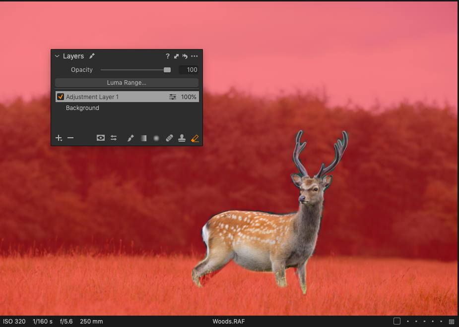 Screenshot_2020-07-20_at_4.14.19_PM.png