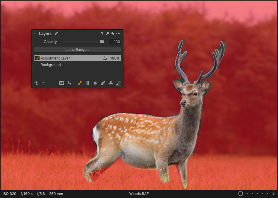 Screenshot_2020-07-20_at_4.14.51_PM.png