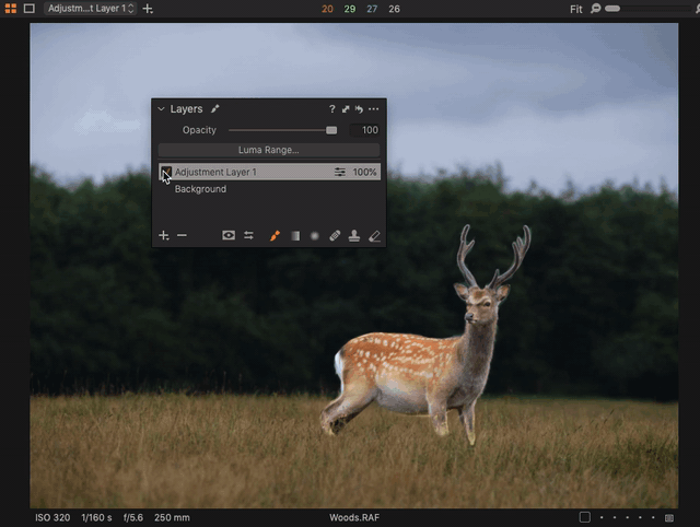 Remove-adjustments-on-Layers.gif