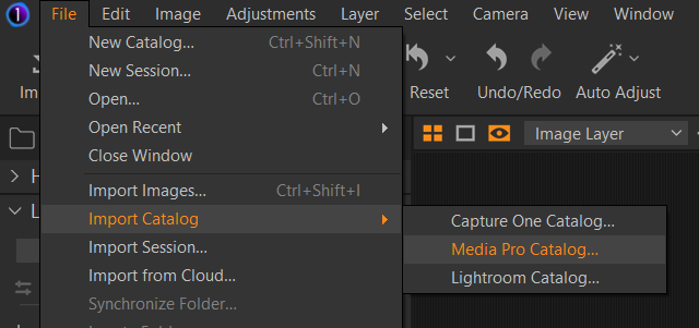 import_media_pro_catalog.png