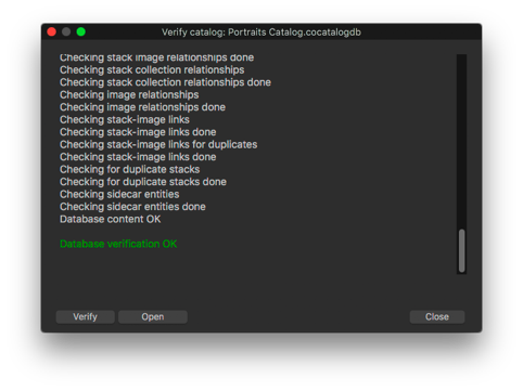 Database verification window