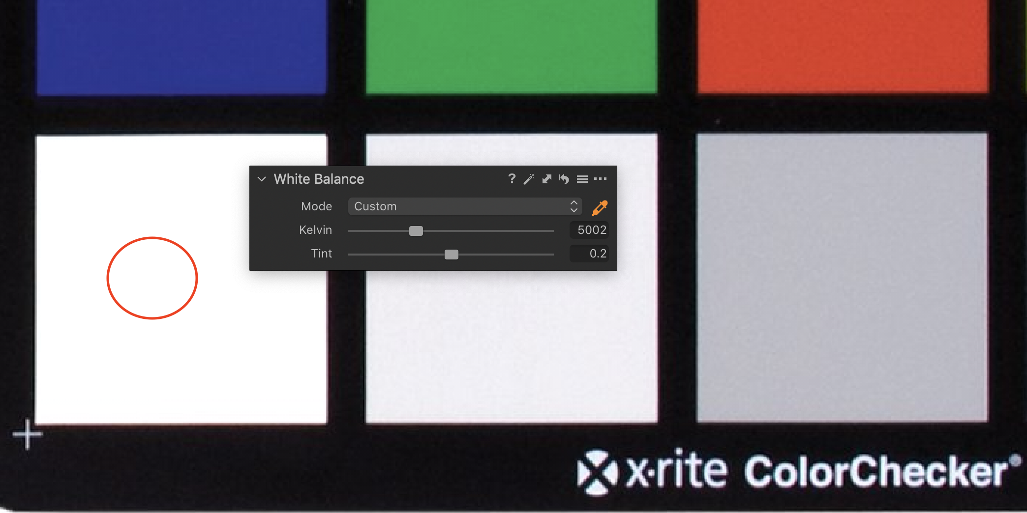 Screen_Shot_2020-01-31_at_2.17.32_PM.png