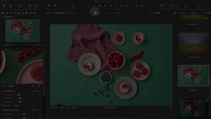 Loupe.gif