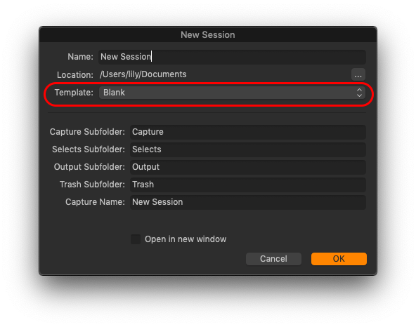 capture one sessions vs catalog