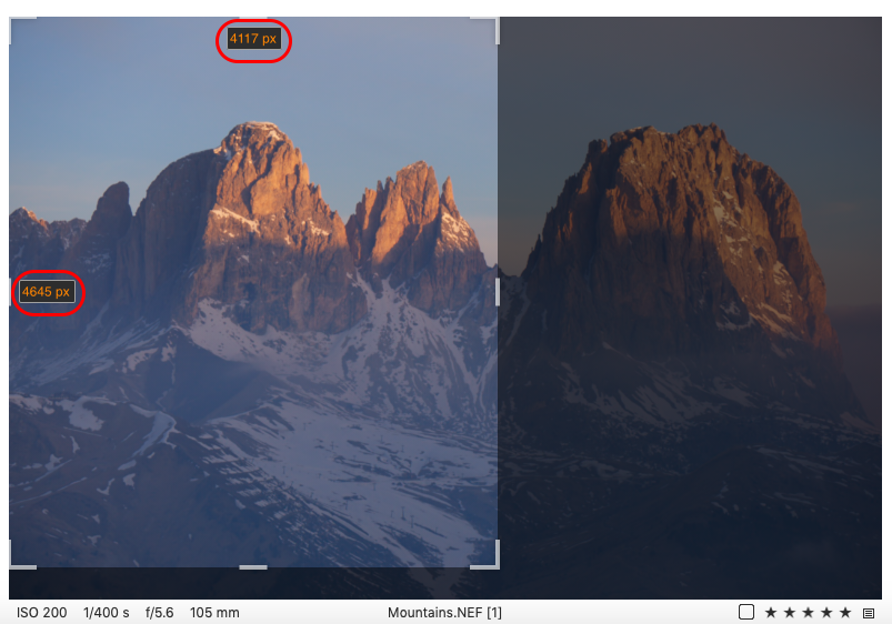 Screenshot_2020-07-13_at_4.25.45_PM.png