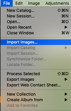 Screenshot_2020-07-29_at_8.19.12_PM.png