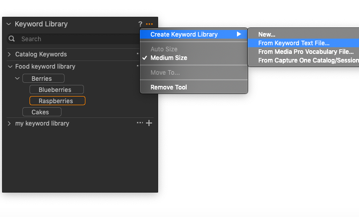 mac app for keywording