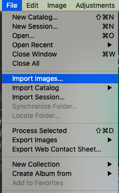 Screenshot_2020-07-30_at_2.46.37_PM.png