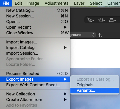 Screenshot_2020-08-05_at_11.06.19_AM.png