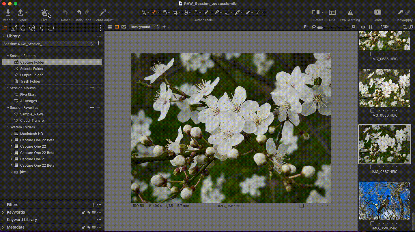 Screen-Recording-2022-06-09-at-15.59.26.gif