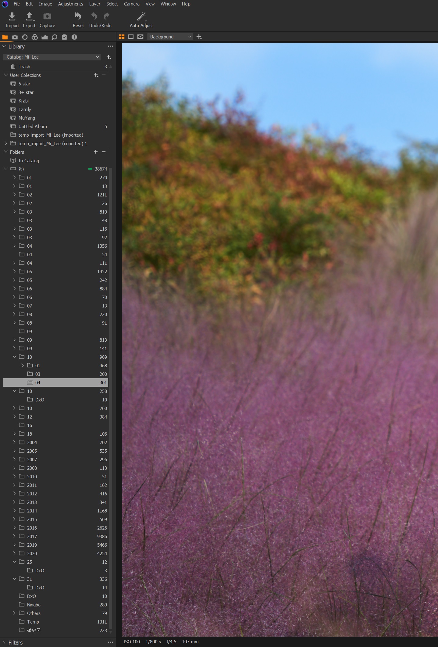 Catalog Folders Missing Capture One